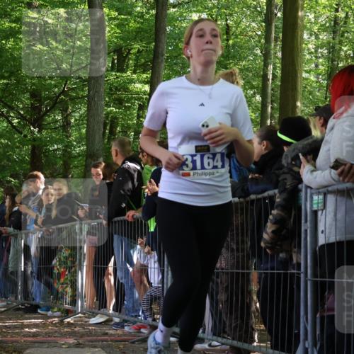 28.09.2025 - 33. Volkslauf durch das schöne Alstertal Strokosch-Dieckow http://msf.ph/oto/8970546 28.09.2025 11:51:51 Ziel 1602, 2651, 3137, 3164, 3165 meine-sportfotos.de