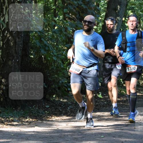 28.09.2025 - 33. Volkslauf durch das schöne Alstertal Strokosch-Dieckow http://msf.ph/oto/8970551 28.09.2025 11:54:21 Laufen 1665, 16, 1770 meine-sportfotos.de