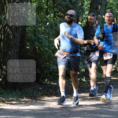 28.09.2025 - 33. Volkslauf durch das schöne Alstertal Strokosch-Dieckow http://msf.ph/oto/8970552 28.09.2025 11:54:21 Laufen 1665, 1770 meine-sportfotos.de