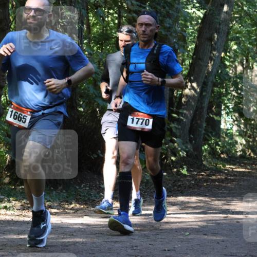 28.09.2025 - 33. Volkslauf durch das schöne Alstertal Strokosch-Dieckow http://msf.ph/oto/8970554 28.09.2025 11:54:22 Laufen 1665, 1770, 1618 meine-sportfotos.de