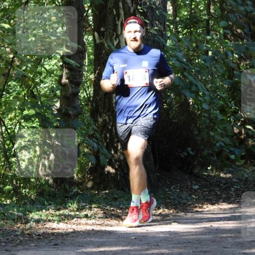 28.09.2025 - 33. Volkslauf durch das schöne Alstertal Strokosch-Dieckow http://msf.ph/oto/8970558 28.09.2025 11:54:30 Laufen 16, 8 meine-sportfotos.de