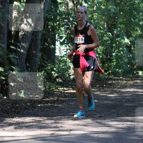 28.09.2025 - 33. Volkslauf durch das schöne Alstertal Strokosch-Dieckow http://msf.ph/oto/8970578 28.09.2025 11:54:55 Laufen 1019 meine-sportfotos.de