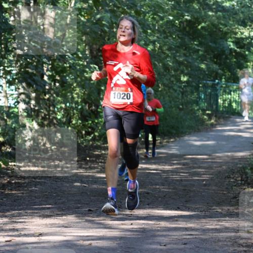 28.09.2025 - 33. Volkslauf durch das schöne Alstertal Strokosch-Dieckow http://msf.ph/oto/8970580 28.09.2025 11:55:05 Laufen 1020 meine-sportfotos.de