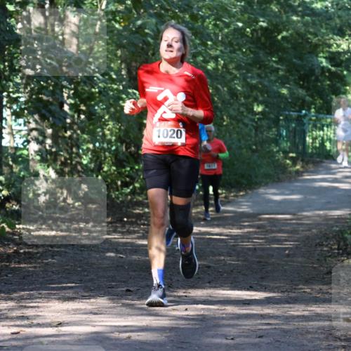 28.09.2025 - 33. Volkslauf durch das schöne Alstertal Strokosch-Dieckow http://msf.ph/oto/8970581 28.09.2025 11:55:05 Laufen 2, 1020 meine-sportfotos.de