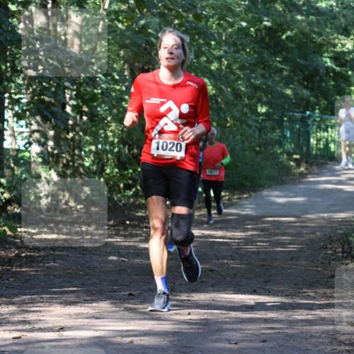28.09.2025 - 33. Volkslauf durch das schöne Alstertal Strokosch-Dieckow http://msf.ph/oto/8970582 28.09.2025 11:55:05 Laufen 1020 meine-sportfotos.de