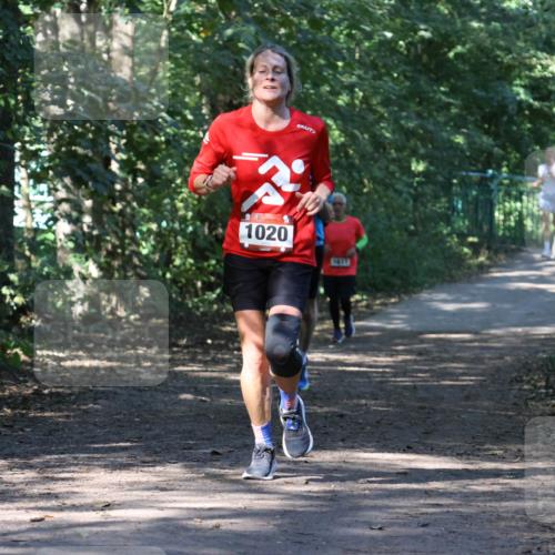 28.09.2025 - 33. Volkslauf durch das schöne Alstertal Strokosch-Dieckow http://msf.ph/oto/8970583 28.09.2025 11:55:06 Laufen 1020, 1611 meine-sportfotos.de