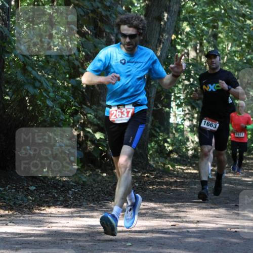 28.09.2025 - 33. Volkslauf durch das schöne Alstertal Strokosch-Dieckow http://msf.ph/oto/8970584 28.09.2025 11:55:10 Laufen 2637, 1663, 1611 meine-sportfotos.de