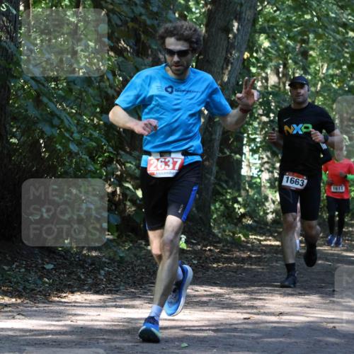 28.09.2025 - 33. Volkslauf durch das schöne Alstertal Strokosch-Dieckow http://msf.ph/oto/8970585 28.09.2025 11:55:10 Laufen 2637, 1663 meine-sportfotos.de
