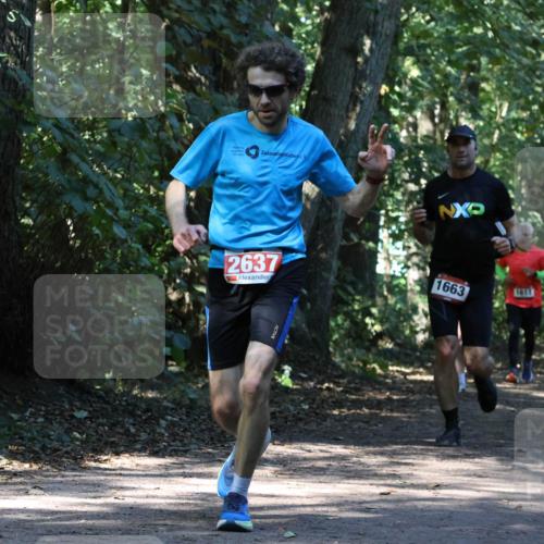 28.09.2025 - 33. Volkslauf durch das schöne Alstertal Strokosch-Dieckow http://msf.ph/oto/8970586 28.09.2025 11:55:11 Laufen 2637, 1663, 1611 meine-sportfotos.de