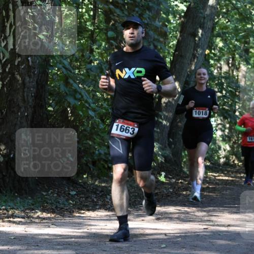 28.09.2025 - 33. Volkslauf durch das schöne Alstertal Strokosch-Dieckow http://msf.ph/oto/8970587 28.09.2025 11:55:13 Laufen 1663, 1018 meine-sportfotos.de