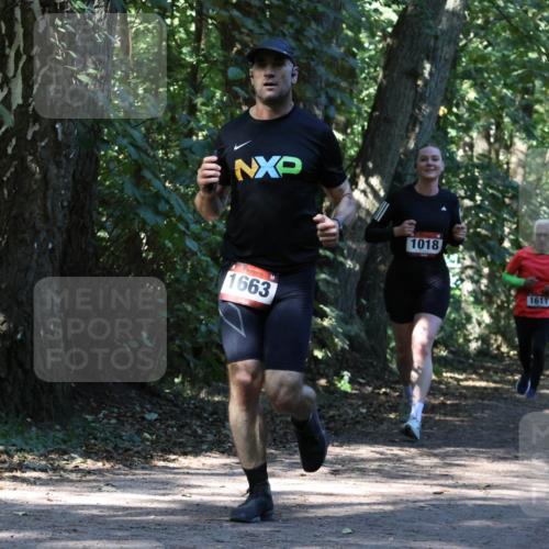 28.09.2025 - 33. Volkslauf durch das schöne Alstertal Strokosch-Dieckow http://msf.ph/oto/8970588 28.09.2025 11:55:13 Laufen 1663, 1018 meine-sportfotos.de