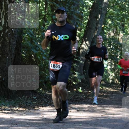 28.09.2025 - 33. Volkslauf durch das schöne Alstertal Strokosch-Dieckow http://msf.ph/oto/8970589 28.09.2025 11:55:13 Laufen 1663, 1018, 1611 meine-sportfotos.de