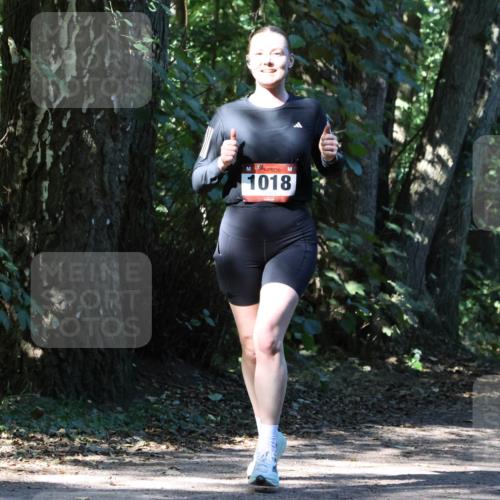 28.09.2025 - 33. Volkslauf durch das schöne Alstertal Strokosch-Dieckow http://msf.ph/oto/8970590 28.09.2025 11:55:15 Laufen 1018, 1611 meine-sportfotos.de