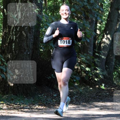 28.09.2025 - 33. Volkslauf durch das schöne Alstertal Strokosch-Dieckow http://msf.ph/oto/8970591 28.09.2025 11:55:15 Laufen 1018, 1611 meine-sportfotos.de