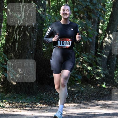 28.09.2025 - 33. Volkslauf durch das schöne Alstertal Strokosch-Dieckow http://msf.ph/oto/8970592 28.09.2025 11:55:15 Laufen 1018, 1611 meine-sportfotos.de