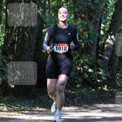 28.09.2025 - 33. Volkslauf durch das schöne Alstertal Strokosch-Dieckow http://msf.ph/oto/8970593 28.09.2025 11:55:15 Laufen 1018, 1611 meine-sportfotos.de