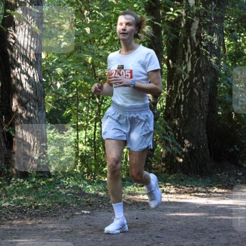 28.09.2025 - 33. Volkslauf durch das schöne Alstertal Strokosch-Dieckow http://msf.ph/oto/8970599 28.09.2025 11:55:23 Laufen 2405 meine-sportfotos.de