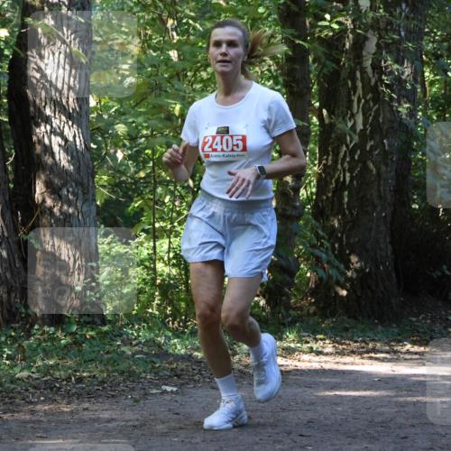 28.09.2025 - 33. Volkslauf durch das schöne Alstertal Strokosch-Dieckow http://msf.ph/oto/8970600 28.09.2025 11:55:23 Laufen 2405 meine-sportfotos.de