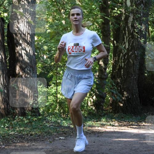 28.09.2025 - 33. Volkslauf durch das schöne Alstertal Strokosch-Dieckow http://msf.ph/oto/8970601 28.09.2025 11:55:23 Laufen 2405 meine-sportfotos.de