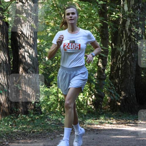 28.09.2025 - 33. Volkslauf durch das schöne Alstertal Strokosch-Dieckow http://msf.ph/oto/8970602 28.09.2025 11:55:23 Laufen 2405 meine-sportfotos.de