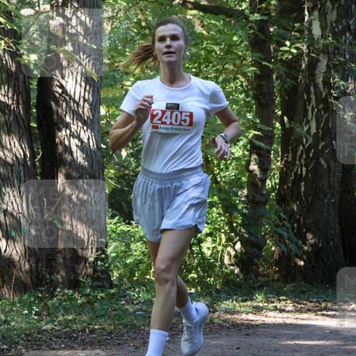 28.09.2025 - 33. Volkslauf durch das schöne Alstertal Strokosch-Dieckow http://msf.ph/oto/8970603 28.09.2025 11:55:24 Laufen 2405 meine-sportfotos.de