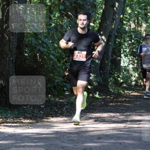28.09.2025 - 33. Volkslauf durch das schöne Alstertal Strokosch-Dieckow http://msf.ph/oto/8970604 28.09.2025 11:55:38 Laufen 2331, 1680 meine-sportfotos.de