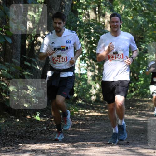 28.09.2025 - 33. Volkslauf durch das schöne Alstertal Strokosch-Dieckow http://msf.ph/oto/8970613 28.09.2025 11:55:50 Laufen 2560, 2358, 1764 meine-sportfotos.de