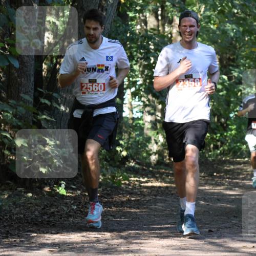 28.09.2025 - 33. Volkslauf durch das schöne Alstertal Strokosch-Dieckow http://msf.ph/oto/8970614 28.09.2025 11:55:50 Laufen 2560, 2358, 1764 meine-sportfotos.de
