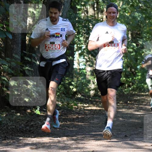 28.09.2025 - 33. Volkslauf durch das schöne Alstertal Strokosch-Dieckow http://msf.ph/oto/8970616 28.09.2025 11:55:50 Laufen 2560, 2258, 764 meine-sportfotos.de
