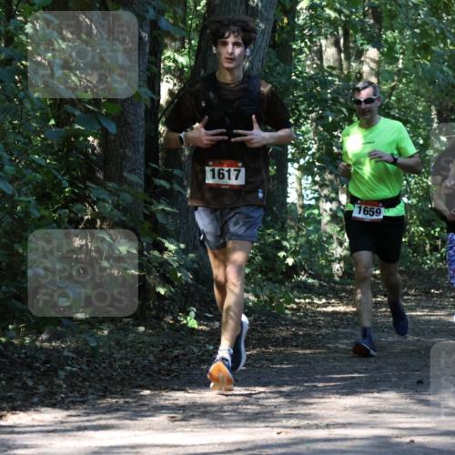 28.09.2025 - 33. Volkslauf durch das schöne Alstertal Strokosch-Dieckow http://msf.ph/oto/8970626 28.09.2025 11:56:14 Laufen 1617, 1659, 2591 meine-sportfotos.de