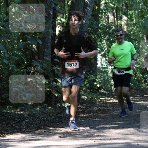 28.09.2025 - 33. Volkslauf durch das schöne Alstertal Strokosch-Dieckow http://msf.ph/oto/8970628 28.09.2025 11:56:14 Laufen 1617, 1659, 2, 2591 meine-sportfotos.de