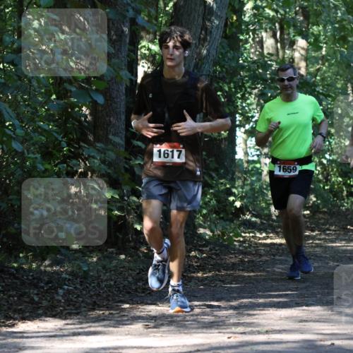 28.09.2025 - 33. Volkslauf durch das schöne Alstertal Strokosch-Dieckow http://msf.ph/oto/8970629 28.09.2025 11:56:14 Laufen 1617, 1659, 102, 2591 meine-sportfotos.de