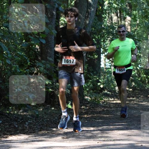 28.09.2025 - 33. Volkslauf durch das schöne Alstertal Strokosch-Dieckow http://msf.ph/oto/8970630 28.09.2025 11:56:14 Laufen 1617, 1659, 2591 meine-sportfotos.de