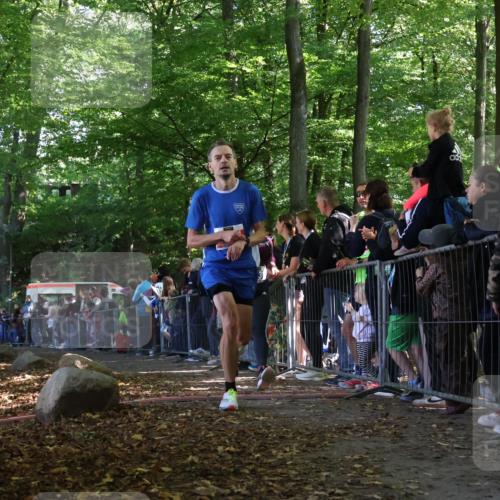28.09.2025 - 33. Volkslauf durch das schöne Alstertal Strokosch-Dieckow http://msf.ph/oto/8970633 28.09.2025 11:51:55 Ziel 1602, 2651, 3137 meine-sportfotos.de