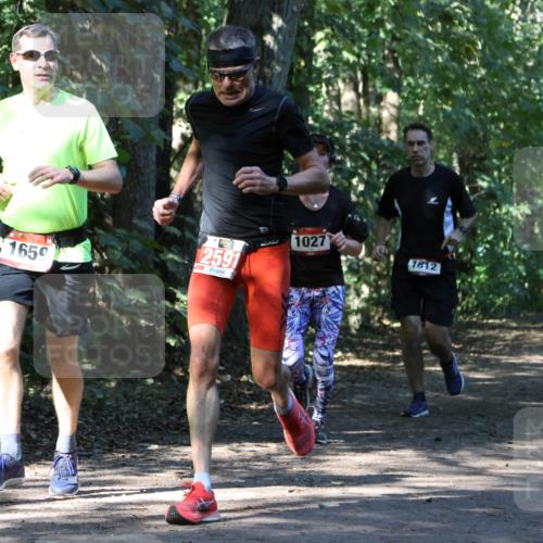 28.09.2025 - 33. Volkslauf durch das schöne Alstertal Strokosch-Dieckow http://msf.ph/oto/8970636 28.09.2025 11:56:16 Laufen 1650, 2591, 1027, 1812 meine-sportfotos.de