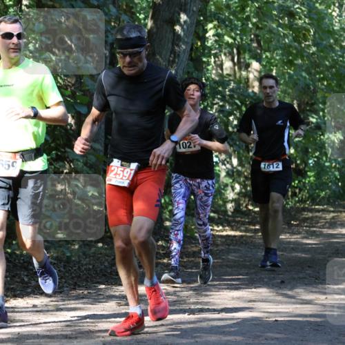 28.09.2025 - 33. Volkslauf durch das schöne Alstertal Strokosch-Dieckow http://msf.ph/oto/8970638 28.09.2025 11:56:16 Laufen 659, 2591, 102, 1812 meine-sportfotos.de