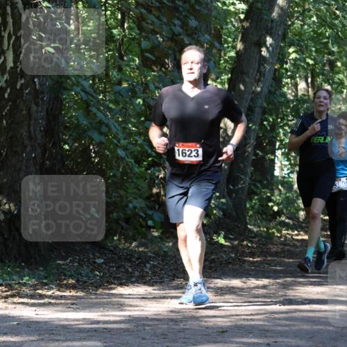 28.09.2025 - 33. Volkslauf durch das schöne Alstertal Strokosch-Dieckow http://msf.ph/oto/8970647 28.09.2025 11:56:41 Laufen 1623, 50, 359 meine-sportfotos.de