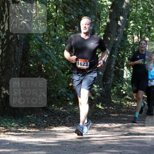 28.09.2025 - 33. Volkslauf durch das schöne Alstertal Strokosch-Dieckow http://msf.ph/oto/8970648 28.09.2025 11:56:41 Laufen 1623, 50, 3359, 3354 meine-sportfotos.de
