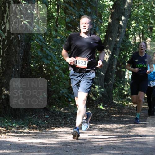 28.09.2025 - 33. Volkslauf durch das schöne Alstertal Strokosch-Dieckow http://msf.ph/oto/8970649 28.09.2025 11:56:41 Laufen 50, 1623, 3359, 3354 meine-sportfotos.de
