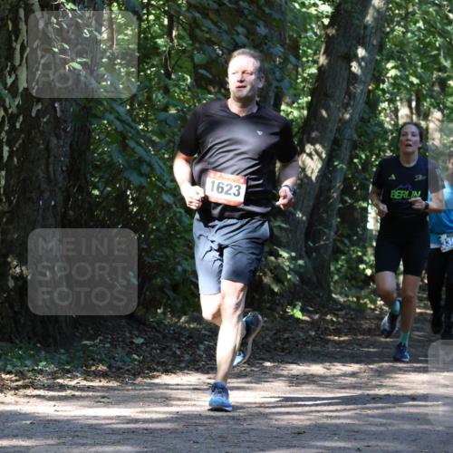 28.09.2025 - 33. Volkslauf durch das schöne Alstertal Strokosch-Dieckow http://msf.ph/oto/8970650 28.09.2025 11:56:41 Laufen 50, 1623, 3359, 3354 meine-sportfotos.de