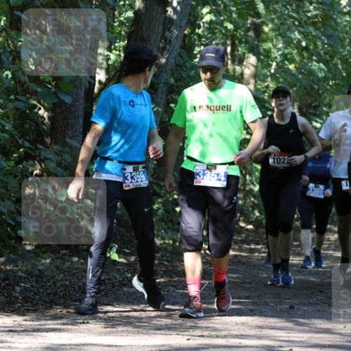 28.09.2025 - 33. Volkslauf durch das schöne Alstertal Strokosch-Dieckow http://msf.ph/oto/8970654 28.09.2025 11:56:44 Laufen 1922, 3359, 3354, 102, 3360, 20, 1641 meine-sportfotos.de