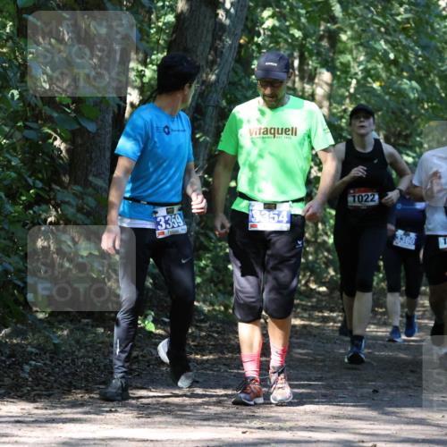 28.09.2025 - 33. Volkslauf durch das schöne Alstertal Strokosch-Dieckow http://msf.ph/oto/8970655 28.09.2025 11:56:44 Laufen 1922, 3359, 3354, 1022, 3360, 170, 1641 meine-sportfotos.de