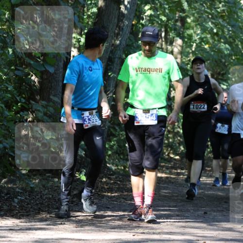 28.09.2025 - 33. Volkslauf durch das schöne Alstertal Strokosch-Dieckow http://msf.ph/oto/8970656 28.09.2025 11:56:44 Laufen 1922, 3359, 3354, 1022, 3360, 1641 meine-sportfotos.de
