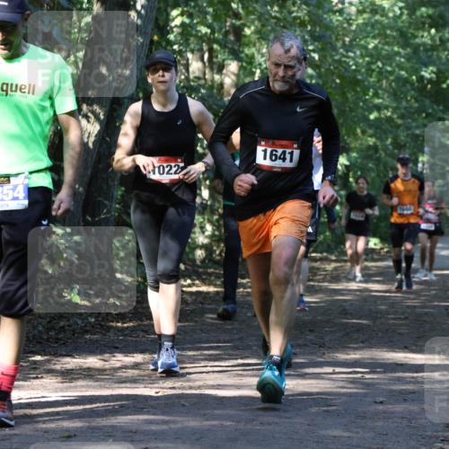 28.09.2025 - 33. Volkslauf durch das schöne Alstertal Strokosch-Dieckow http://msf.ph/oto/8970657 28.09.2025 11:56:47 Laufen 1922, 3354, 022, 1641 meine-sportfotos.de