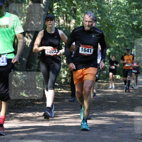 28.09.2025 - 33. Volkslauf durch das schöne Alstertal Strokosch-Dieckow http://msf.ph/oto/8970658 28.09.2025 11:56:47 Laufen 3354, 022, 1641 meine-sportfotos.de