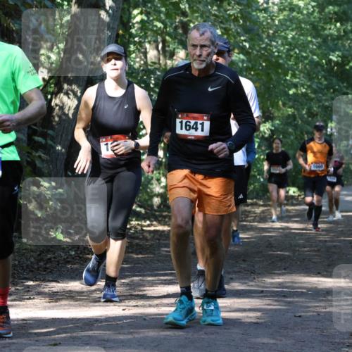 28.09.2025 - 33. Volkslauf durch das schöne Alstertal Strokosch-Dieckow http://msf.ph/oto/8970661 28.09.2025 11:56:47 Laufen 1922, 3354, 1641, 1660 meine-sportfotos.de