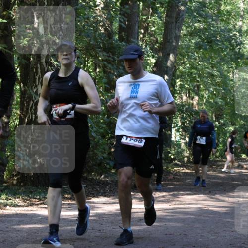 28.09.2025 - 33. Volkslauf durch das schöne Alstertal Strokosch-Dieckow http://msf.ph/oto/8970663 28.09.2025 11:56:49 Laufen 641, 30, 2024, 708, 3360, 1660 meine-sportfotos.de