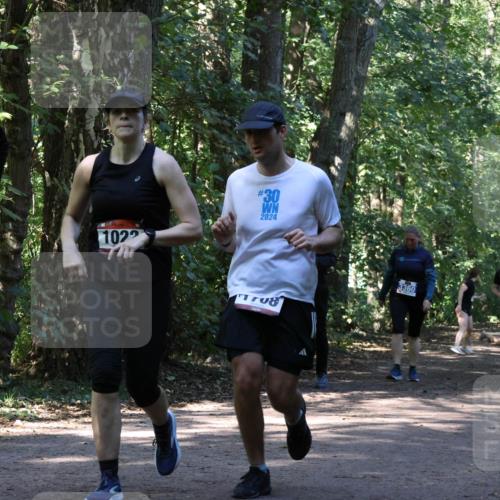 28.09.2025 - 33. Volkslauf durch das schöne Alstertal Strokosch-Dieckow http://msf.ph/oto/8970664 28.09.2025 11:56:49 Laufen 1, 1022, 30, 2024, 08, 3360, 1660 meine-sportfotos.de