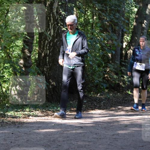 28.09.2025 - 33. Volkslauf durch das schöne Alstertal Strokosch-Dieckow http://msf.ph/oto/8970666 28.09.2025 11:56:52 Laufen 3360 meine-sportfotos.de