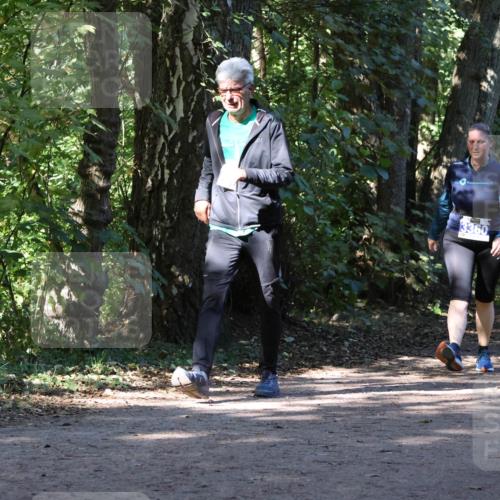 28.09.2025 - 33. Volkslauf durch das schöne Alstertal Strokosch-Dieckow http://msf.ph/oto/8970667 28.09.2025 11:56:52 Laufen 3360 meine-sportfotos.de